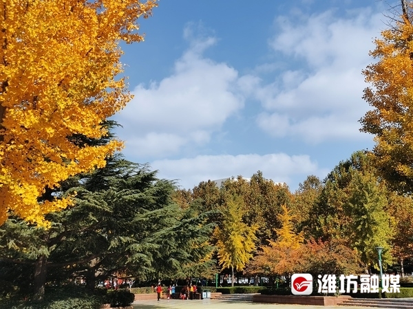 层林尽染秋意浓看！这是深秋的潍坊休闲区蓝鸢梦想 - Www.slyday.coM