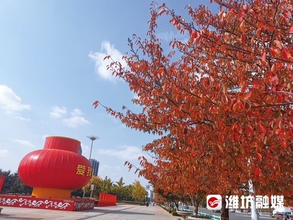 层林尽染秋意浓看！这是深秋的潍坊休闲区蓝鸢梦想 - Www.slyday.coM