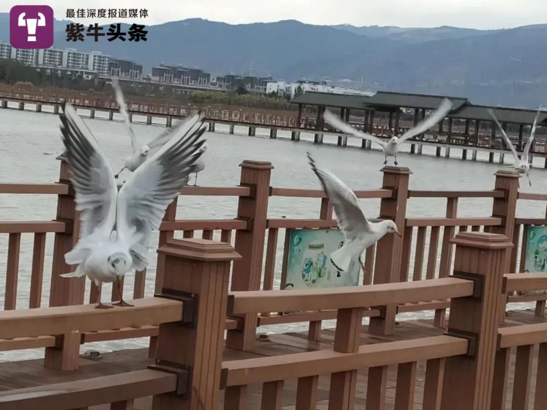【紫牛头条】大学生在老师拍的纪录片里发现8年前的自己，奇妙缘分背后有个温暖的故事休闲区蓝鸢梦想 - Www.slyday.coM
