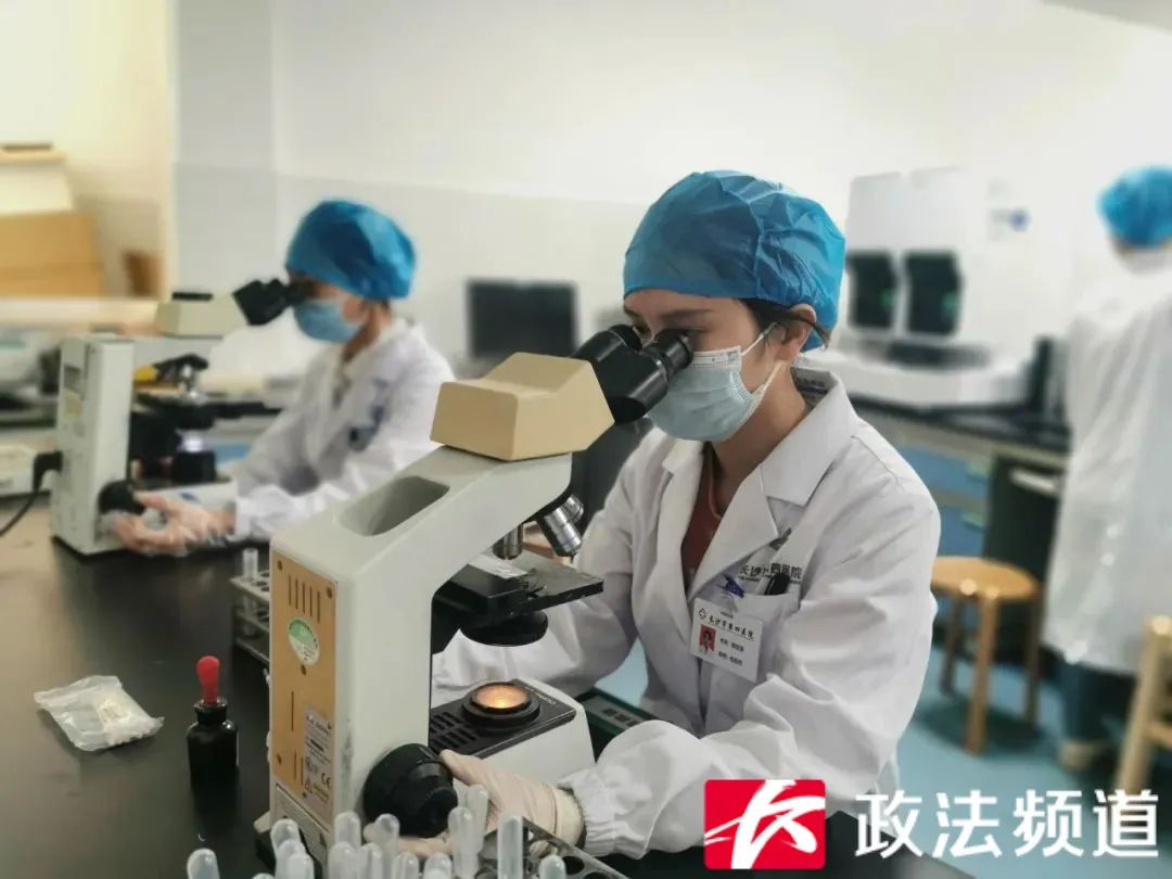 全国罕见！这里发现一例“恐龙血”休闲区蓝鸢梦想 - Www.slyday.coM