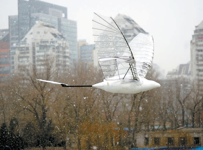 北航扑翼式无人机续航创世界纪录休闲区蓝鸢梦想 - Www.slyday.coM