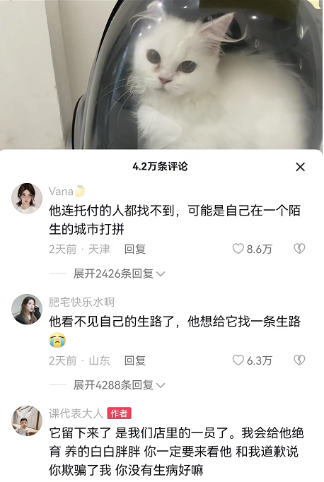 “我肿瘤晚期，只能送它来打工！”20万网友炸锅：希望你好好的休闲区蓝鸢梦想 - Www.slyday.coM