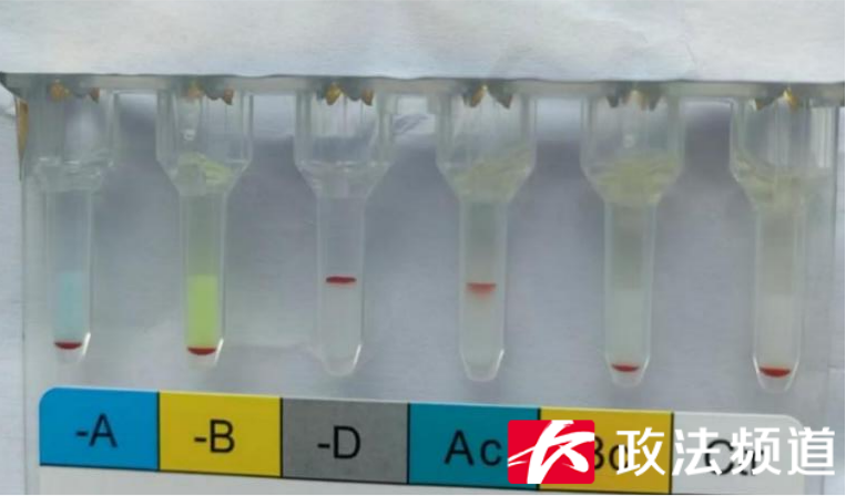 全国罕见！这里发现一例“恐龙血”休闲区蓝鸢梦想 - Www.slyday.coM