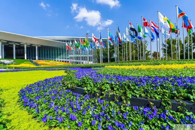 全球首发技术一刻钟清除数十个转移瘤病灶！瓦里安医疗携四大首发阵容“五赴进博”休闲区蓝鸢梦想 - Www.slyday.coM