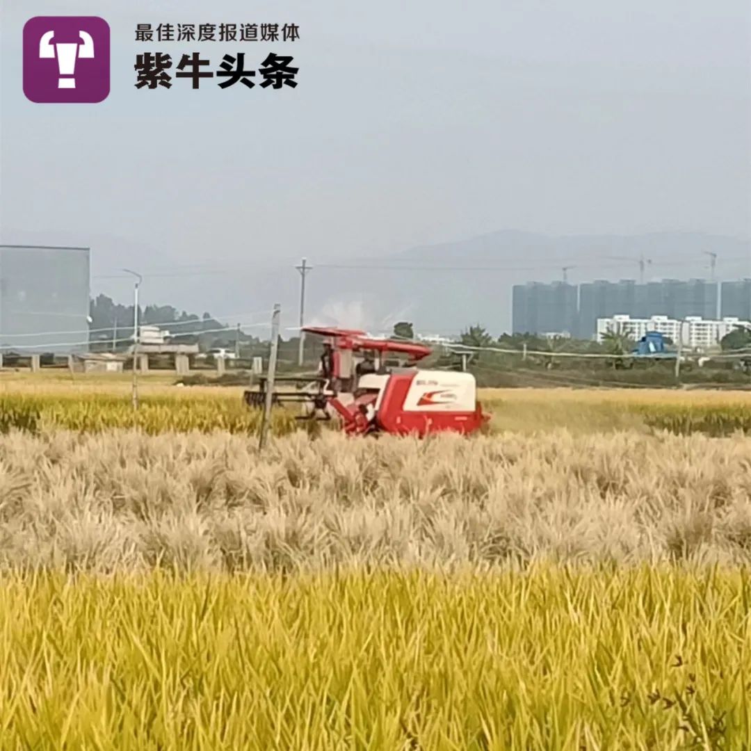 【紫牛头条】大学生在老师拍的纪录片里发现8年前的自己，奇妙缘分背后有个温暖的故事休闲区蓝鸢梦想 - Www.slyday.coM