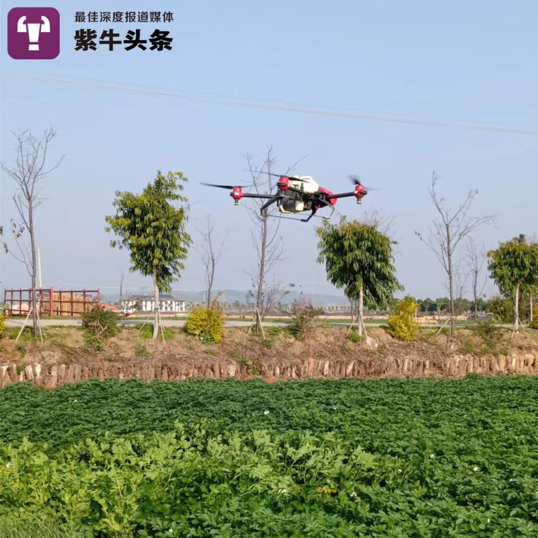 【紫牛头条】大学生在老师拍的纪录片里发现8年前的自己，奇妙缘分背后有个温暖的故事休闲区蓝鸢梦想 - Www.slyday.coM