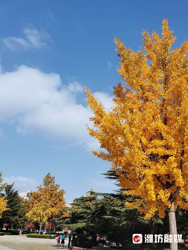 层林尽染秋意浓看！这是深秋的潍坊休闲区蓝鸢梦想 - Www.slyday.coM