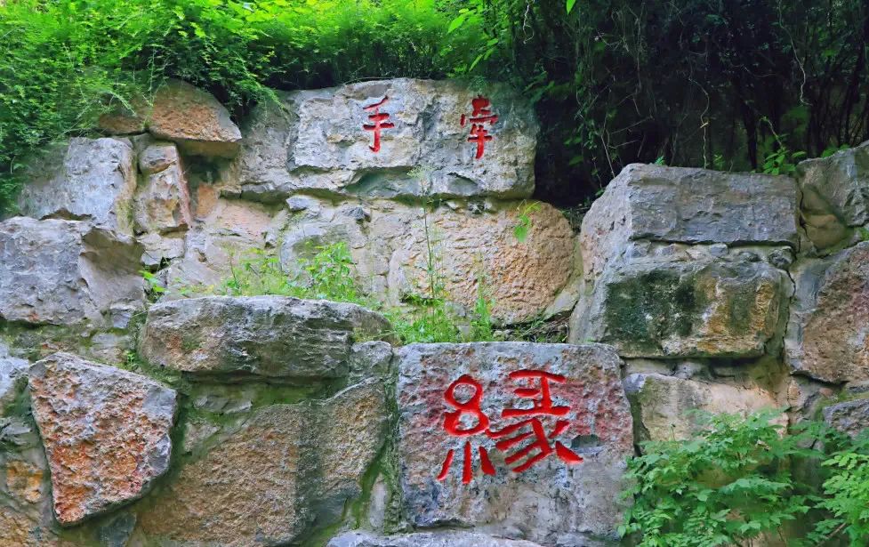 “王宝钏挖野菜”梗火了，可是还有人不知道寒窑在哪里休闲区蓝鸢梦想 - Www.slyday.coM