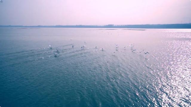 康养山西丨和水鸟一起去亲近葱茏湿地休闲区蓝鸢梦想 - Www.slyday.coM