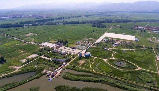 康养山西丨和水鸟一起去亲近葱茏湿地休闲区蓝鸢梦想 - Www.slyday.coM