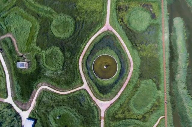 康养山西丨和水鸟一起去亲近葱茏湿地休闲区蓝鸢梦想 - Www.slyday.coM