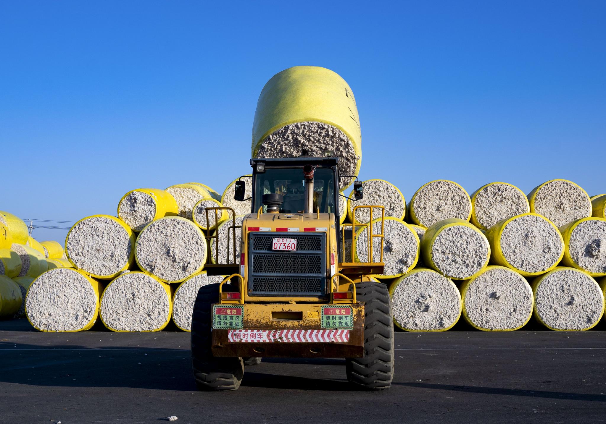 新疆棉花采收忙
