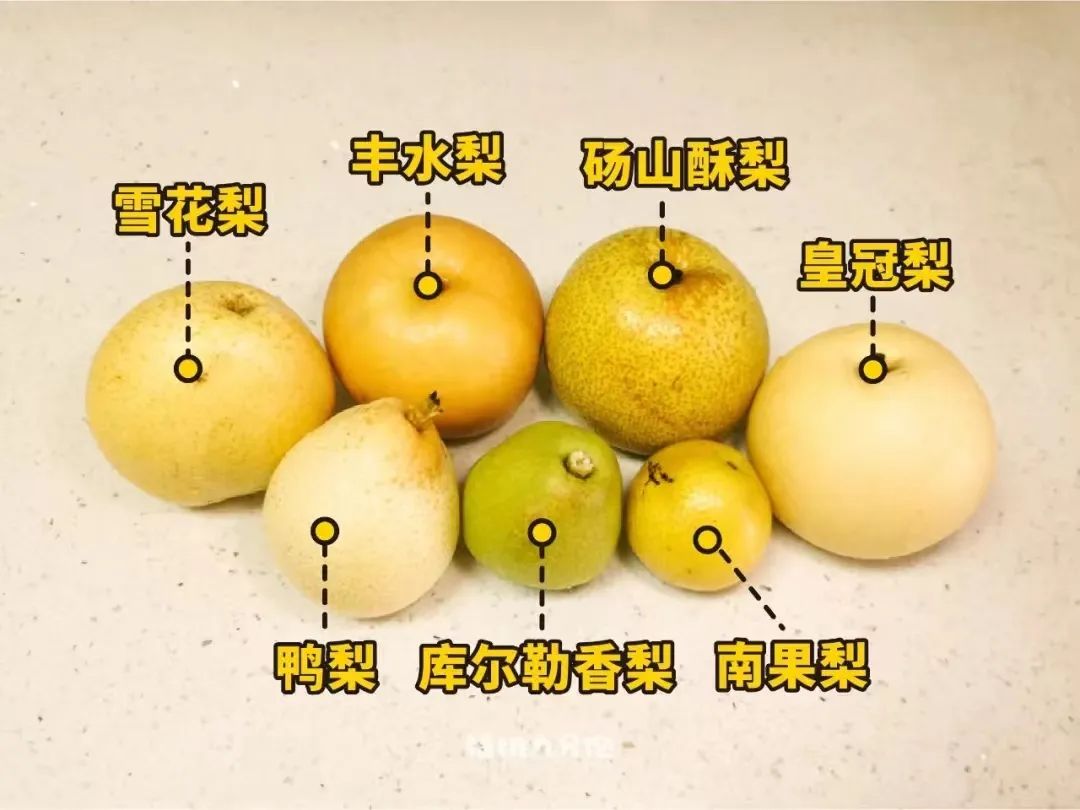 你知道上海