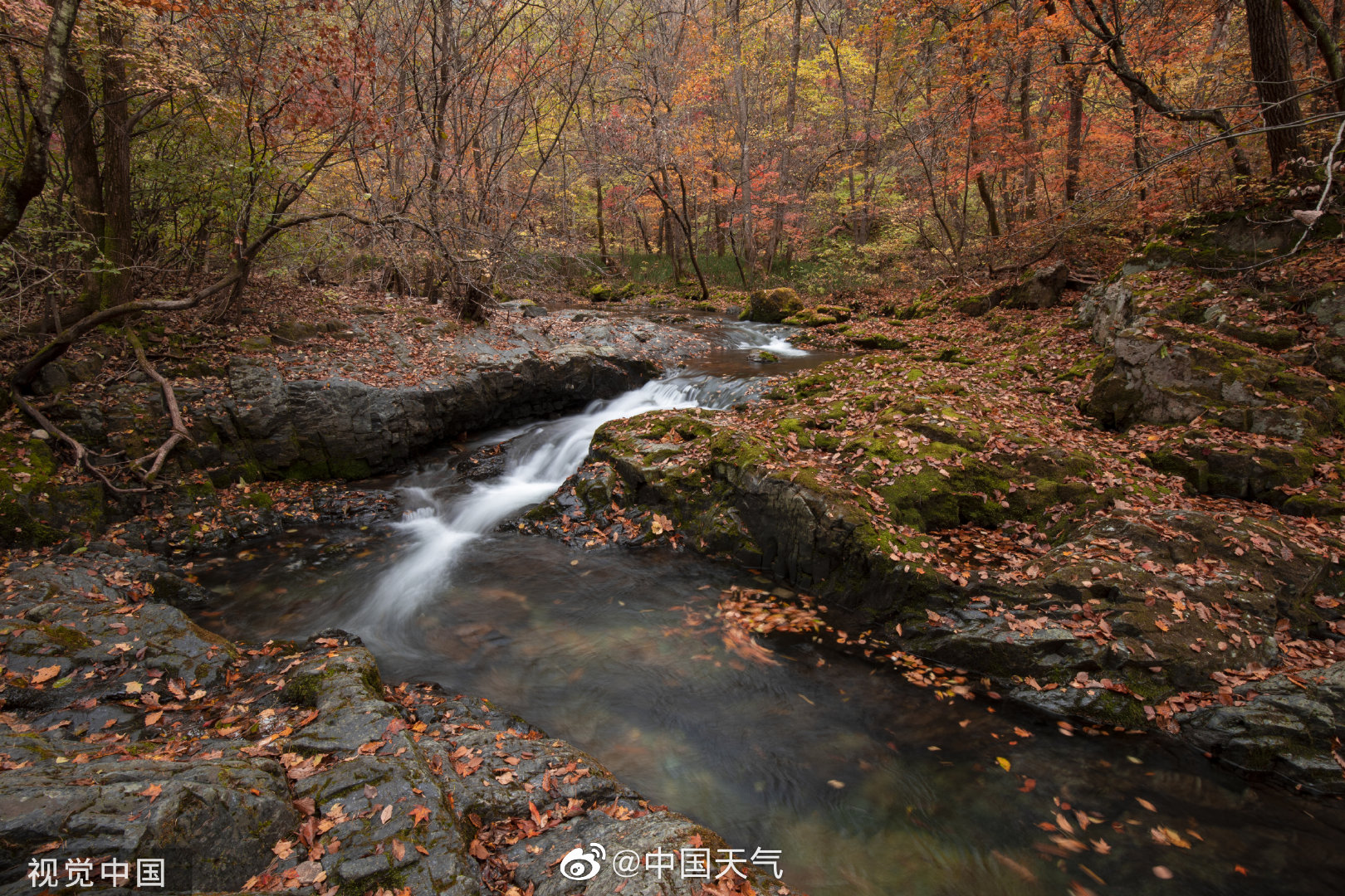 广东省|广州市|霜降_新浪新闻