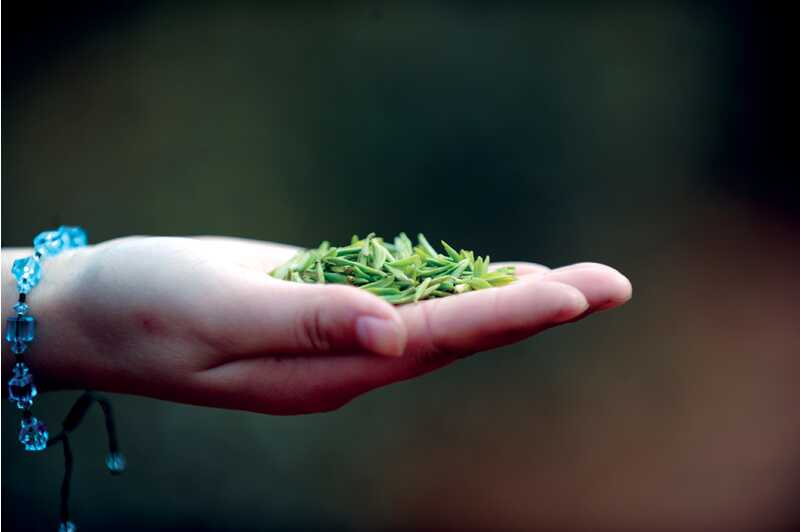 老苏州人不说“喝茶”，吃茶吃的是“精、气、神”休闲区蓝鸢梦想 - Www.slyday.coM