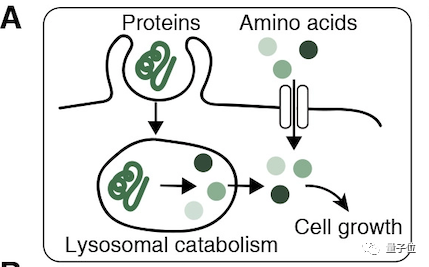 行业资讯：南京楼凤一般什么价格_真实市场行情_2025年避坑指南与省钱技巧