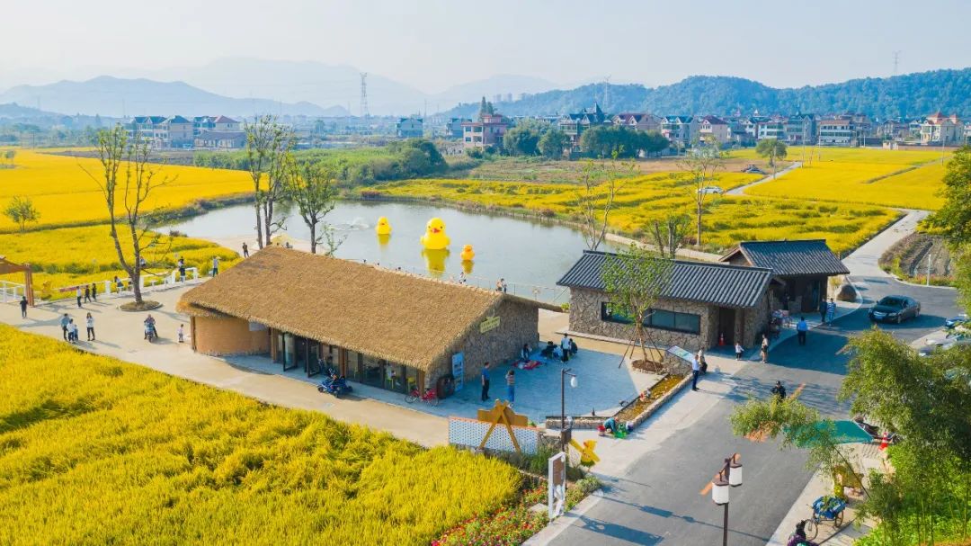 改造后的鸭棚咖啡馆&nbsp; &nbsp; &nbsp; &nbsp; &nbsp; &nbsp; &