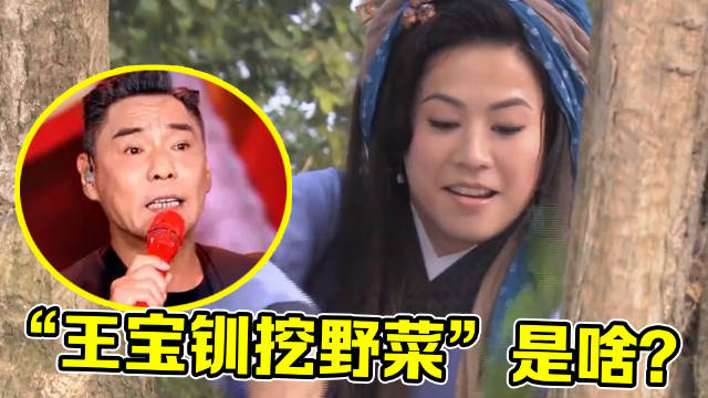 “王宝钏挖野菜”是啥梗?太狗血引32亿播放,一夜带火3首老歌!|王宝钏|薛平贵_新浪新闻