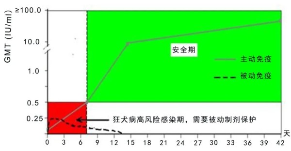 被狗狗咬伤，除了疫苗为什么还要打免疫球蛋白？休闲区蓝鸢梦想 - Www.slyday.coM