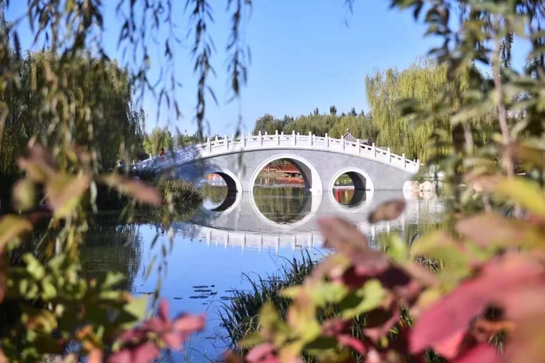 旧宫城市森林公园.大兴区园林绿化局供图