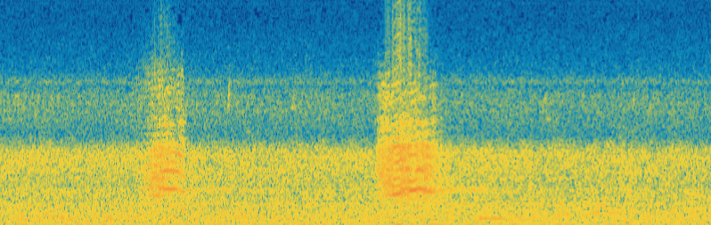 苍鹭的叫声转为频谱后的可视化声纹图。受访者供图