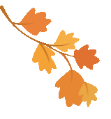 几度秋意浓，手可摘星辰！深秋露营的你该去这里！休闲区蓝鸢梦想 - Www.slyday.coM