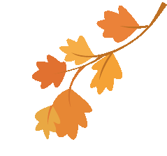 几度秋意浓，手可摘星辰！深秋露营的你该去这里！休闲区蓝鸢梦想 - Www.slyday.coM