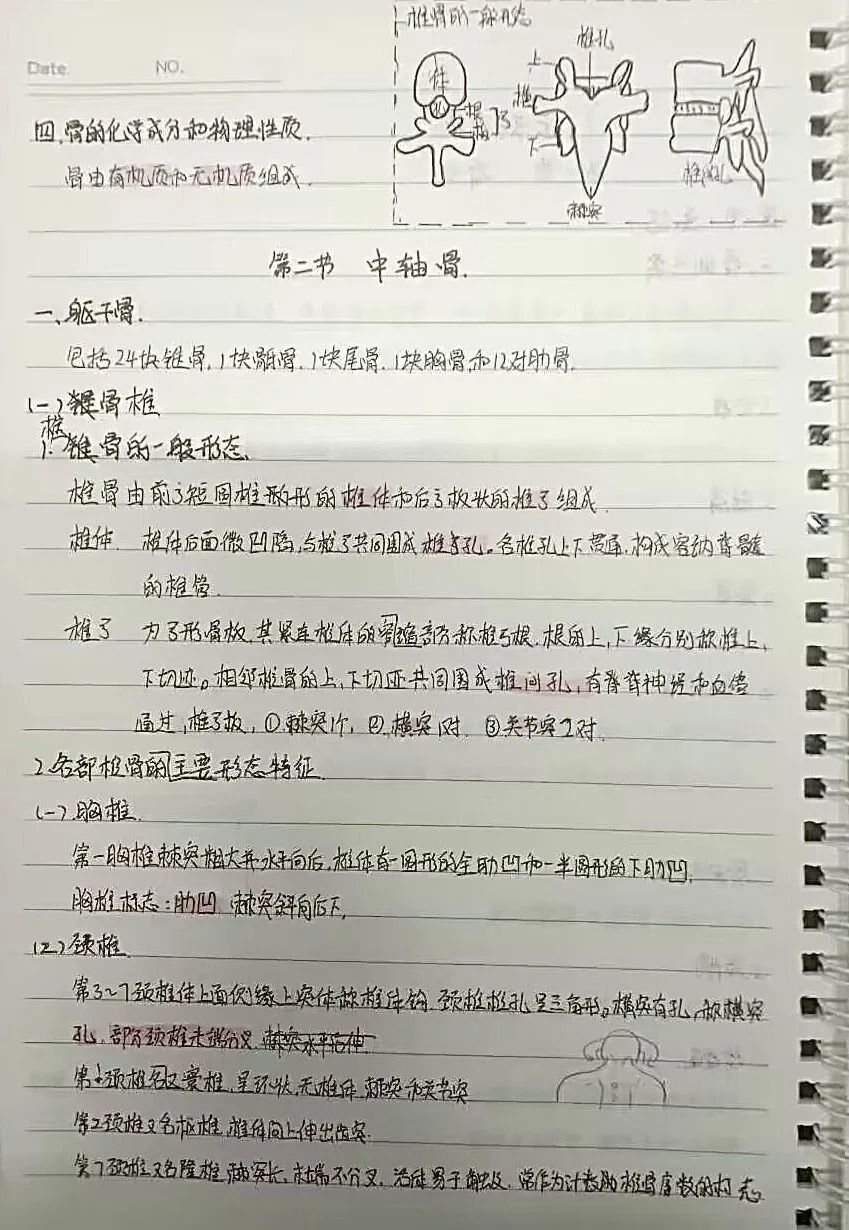 揭秘！医学生的笔记原来还可以这么记！休闲区蓝鸢梦想 - Www.slyday.coM