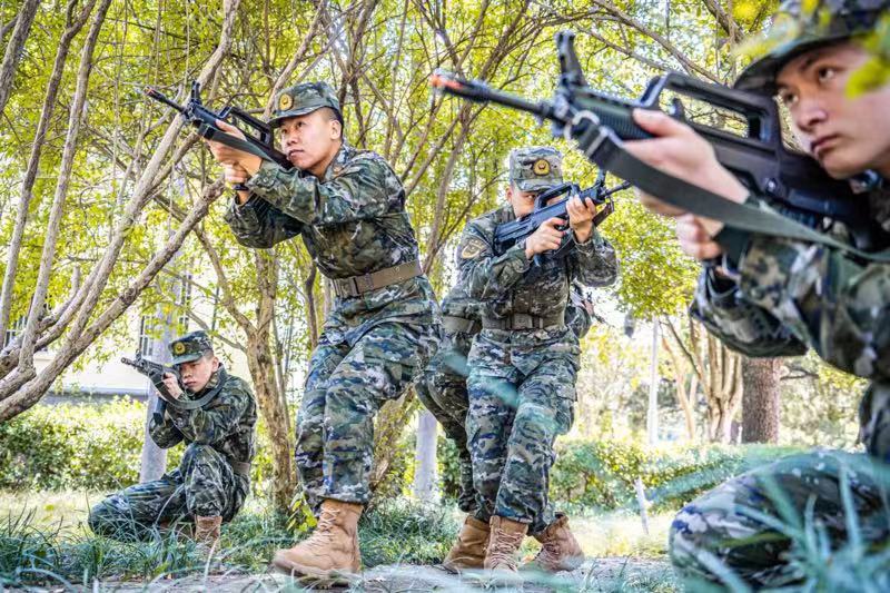 战术大师纳什携手库里打造篮网新进攻体系