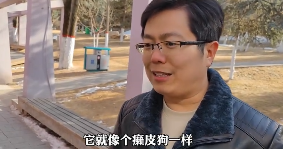 那个“靠可爱吃饭”的小网红，离开我们了。休闲区蓝鸢梦想 - Www.slyday.coM