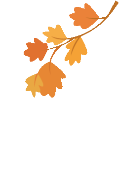 几度秋意浓，手可摘星辰！深秋露营的你该去这里！休闲区蓝鸢梦想 - Www.slyday.coM