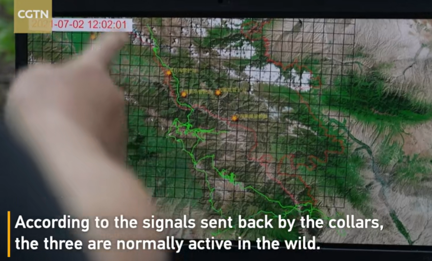 那个“靠可爱吃饭”的小网红，离开我们了。休闲区蓝鸢梦想 - Www.slyday.coM