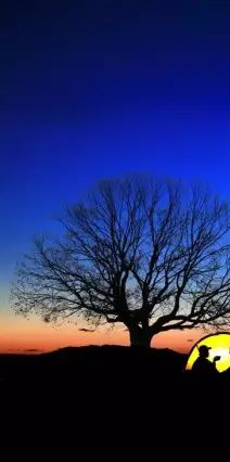 几度秋意浓，手可摘星辰！深秋露营的你该去这里！休闲区蓝鸢梦想 - Www.slyday.coM