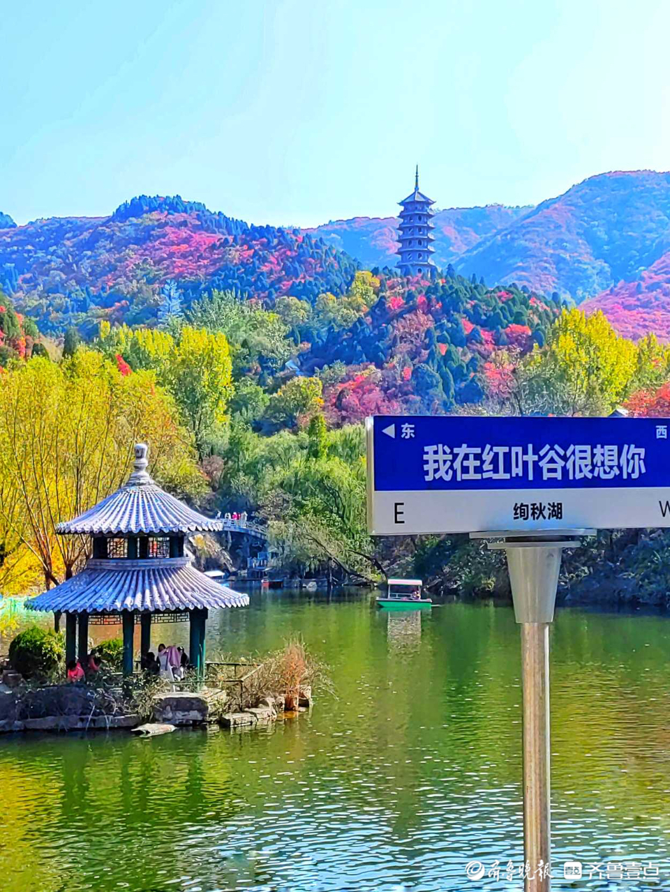 向齐鲁晚报官方客户端齐鲁壹点情报站发来一组拍摄于济南红叶谷的美图