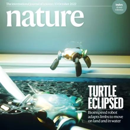 耶鲁大学两栖机器龟登Nature封面,入水瞬间四肢变脚蹼,能“按需进化”!|机器人|环境|刚度_新浪新闻