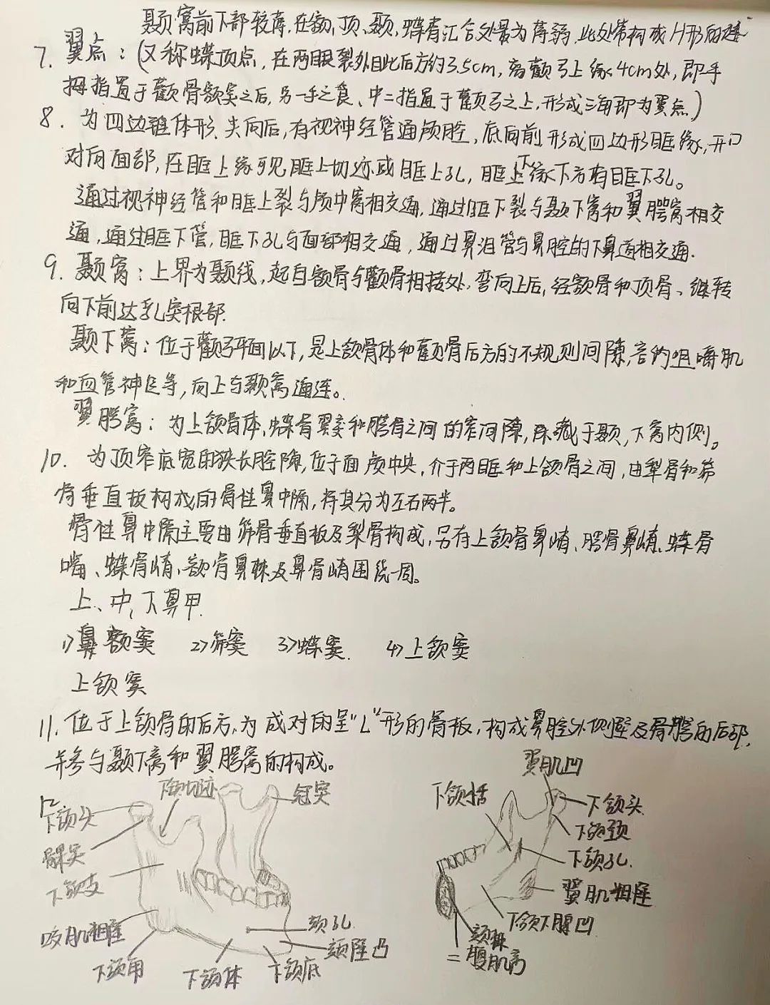 揭秘！医学生的笔记原来还可以这么记！休闲区蓝鸢梦想 - Www.slyday.coM