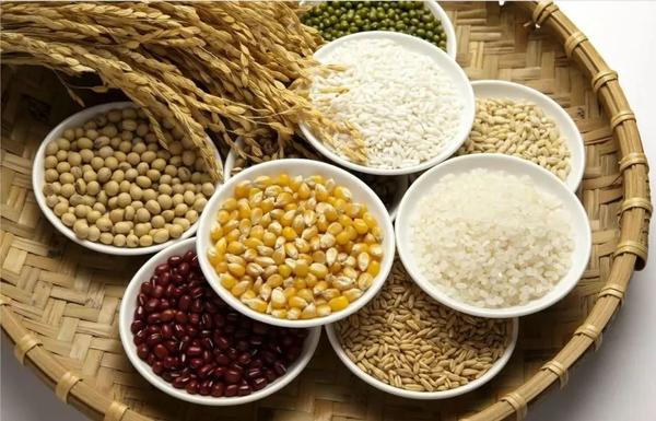 类似星露谷物语的游戏