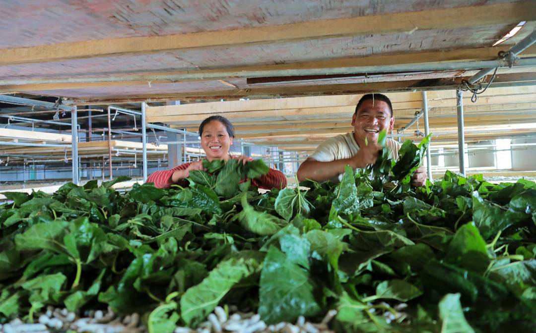 镜头下的大凉山：凉山州成立70周年县市风采——普格县休闲区蓝鸢梦想 - Www.slyday.coM