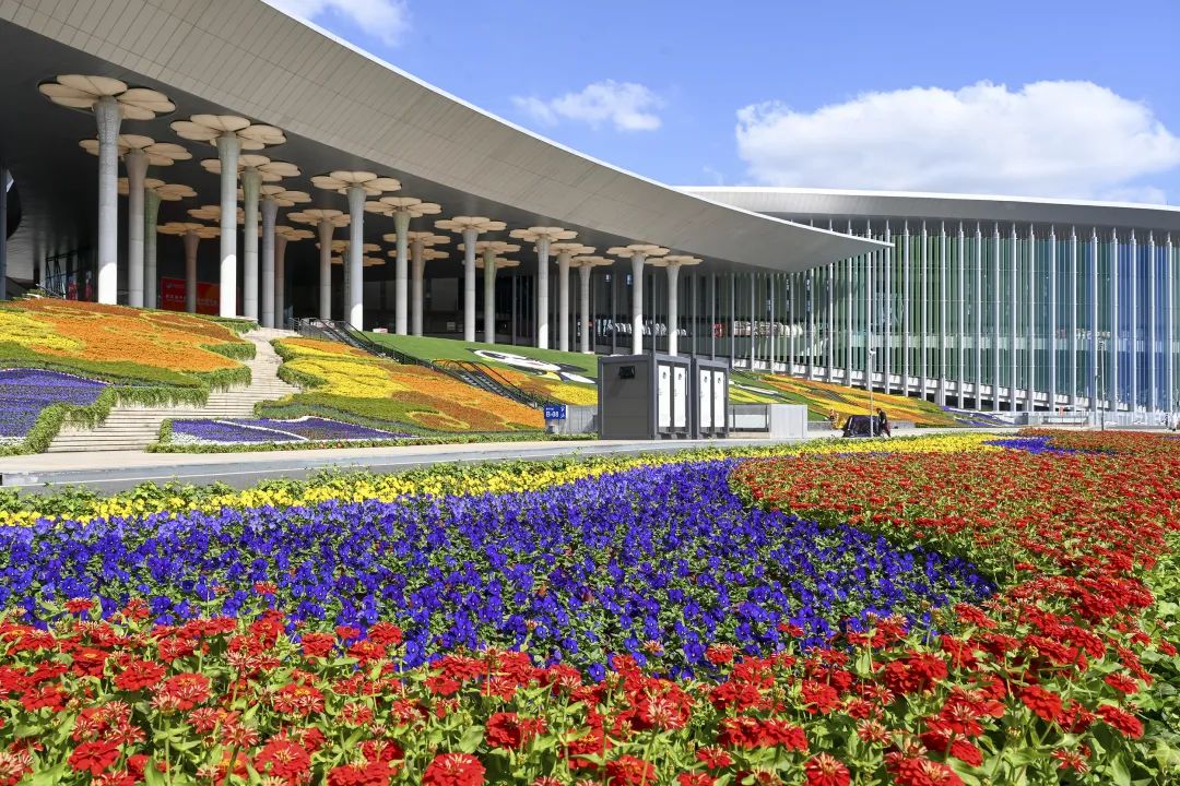 第五届进博会开幕倒计时10天四叶草定妆