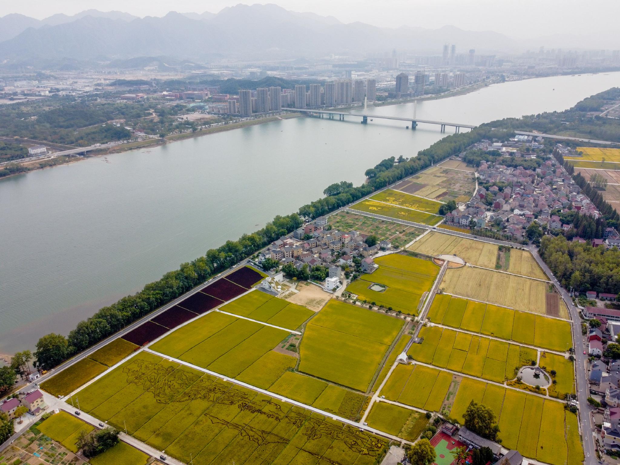 美丽乡村绘就金秋画卷__财经头条