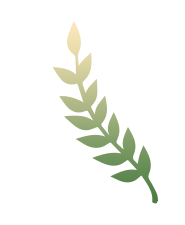 文旅部推荐，这才是“天下粮仓”的正确打开方式！休闲区蓝鸢梦想 - Www.slyday.coM