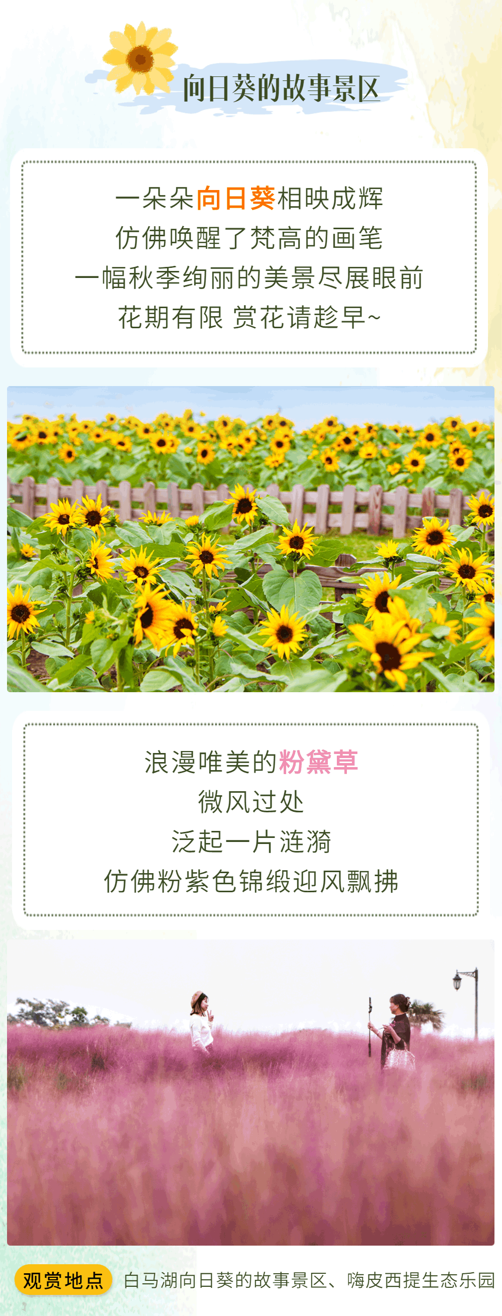 水韵江苏·自媒体联盟大赏 | 相约淮安白马湖旅游度假区,奔赴一场秋日彩色之旅~__财经头条