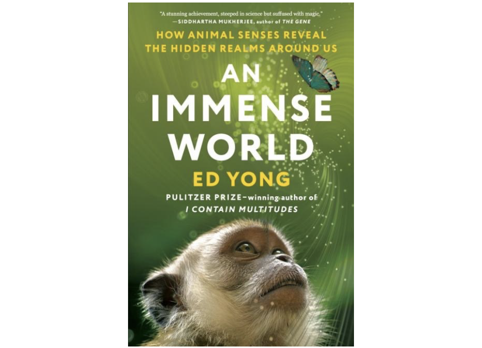 如何揭示我们周围的隐藏领域》(暂译,an immense world: how animal