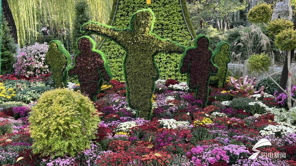 10万余盆菊花斗艳！第43届趵突泉金秋菊展开幕