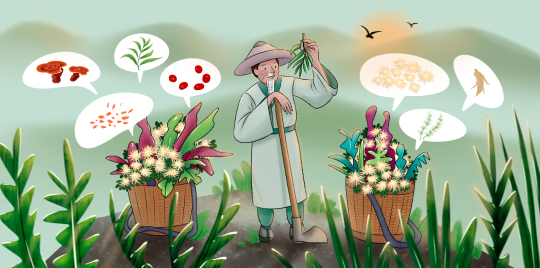 瘙痒、长斑、起疹子......皮肤不好，竟是脏腑出了问题！休闲区蓝鸢梦想 - Www.slyday.coM