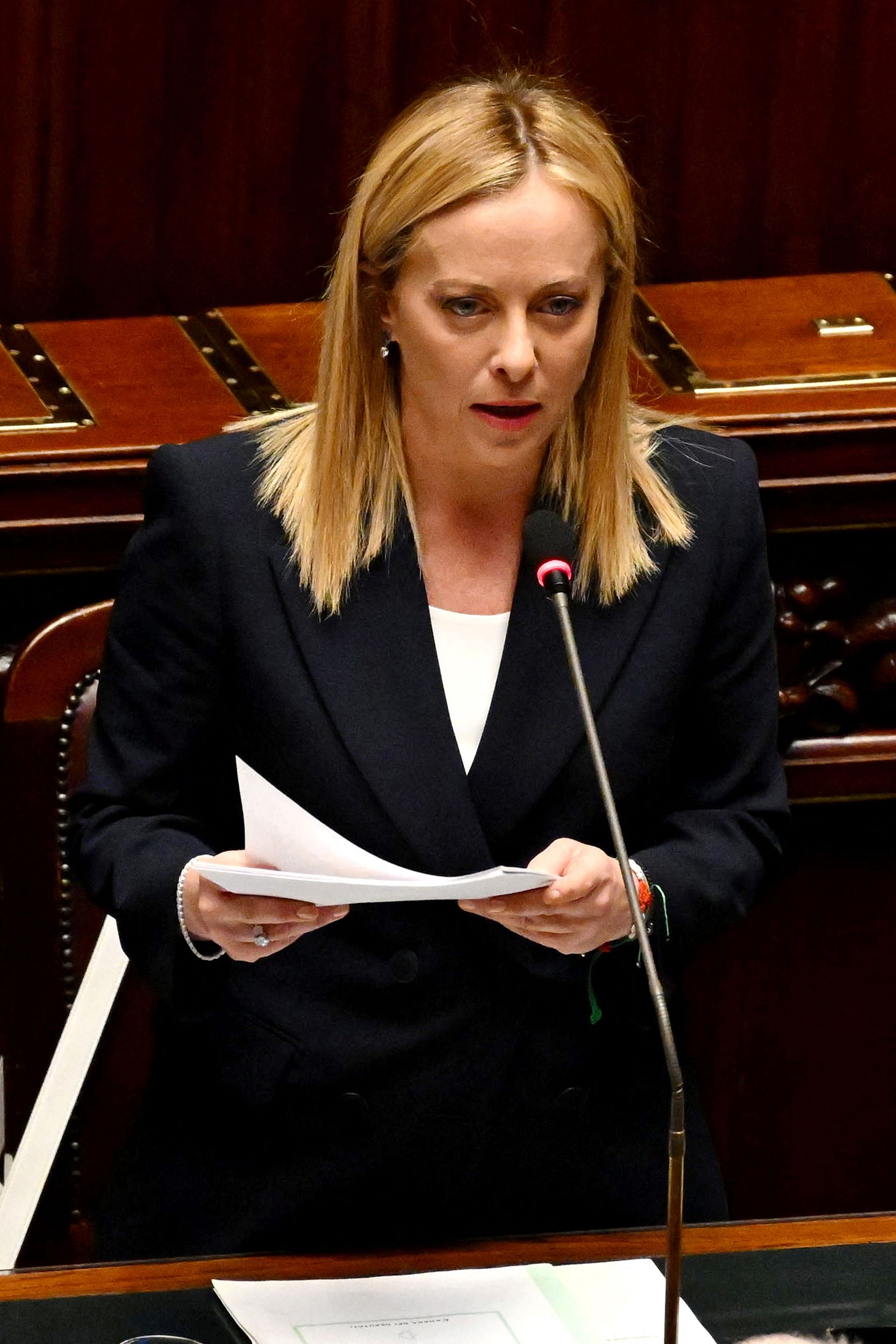 意大利梅洛尼政府赢得众议院信任投票,料在参院也将轻松过关|信任投票