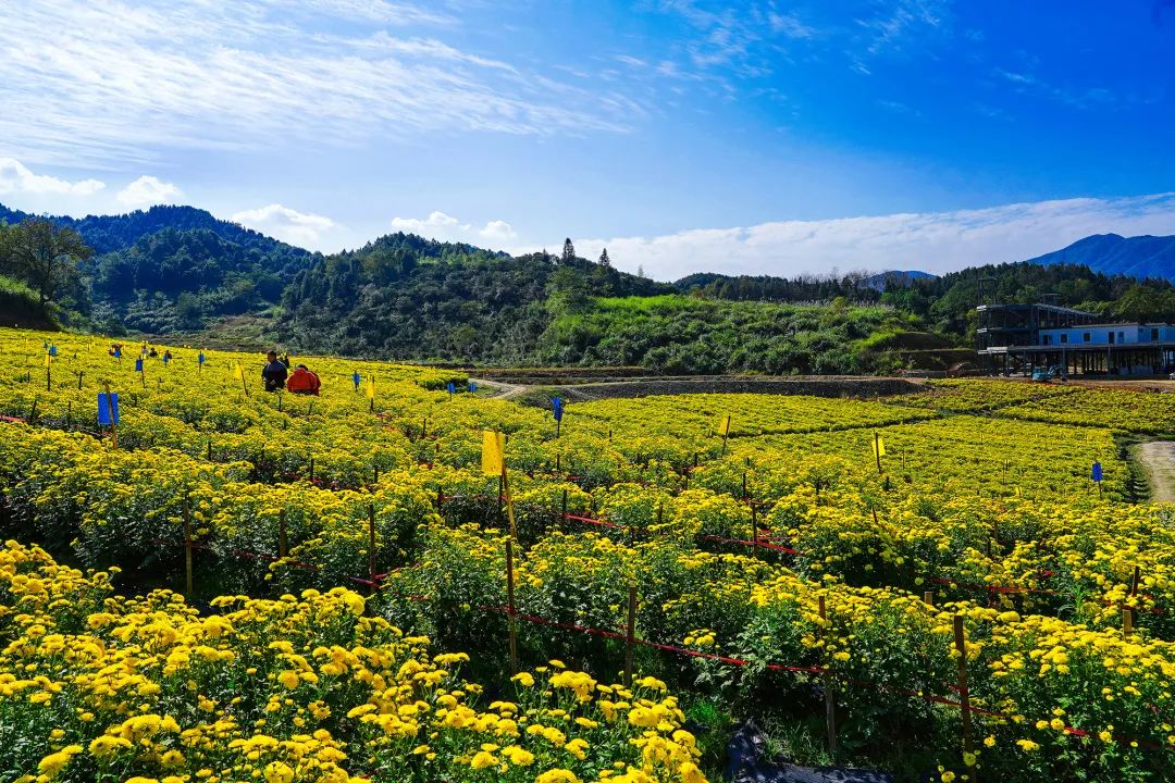 再浪的年轻人，都抵挡不住温汤的“养生诱惑”！休闲区蓝鸢梦想 - Www.slyday.coM