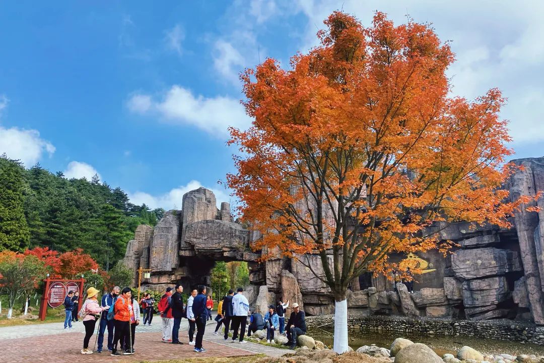 再浪的年轻人，都抵挡不住温汤的“养生诱惑”！休闲区蓝鸢梦想 - Www.slyday.coM