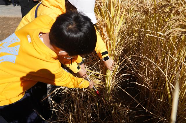 让劳动教育以更有趣的方式打开休闲区蓝鸢梦想 - Www.slyday.coM