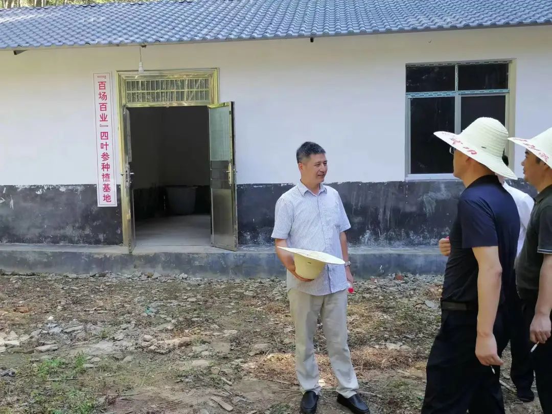 让国有林场融入乡村振兴,绿色发展